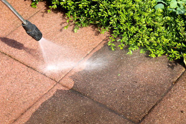 Best Best Pressure Washing Companies  in Pleasantdale, NJ